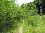 der Weg zum WKZ